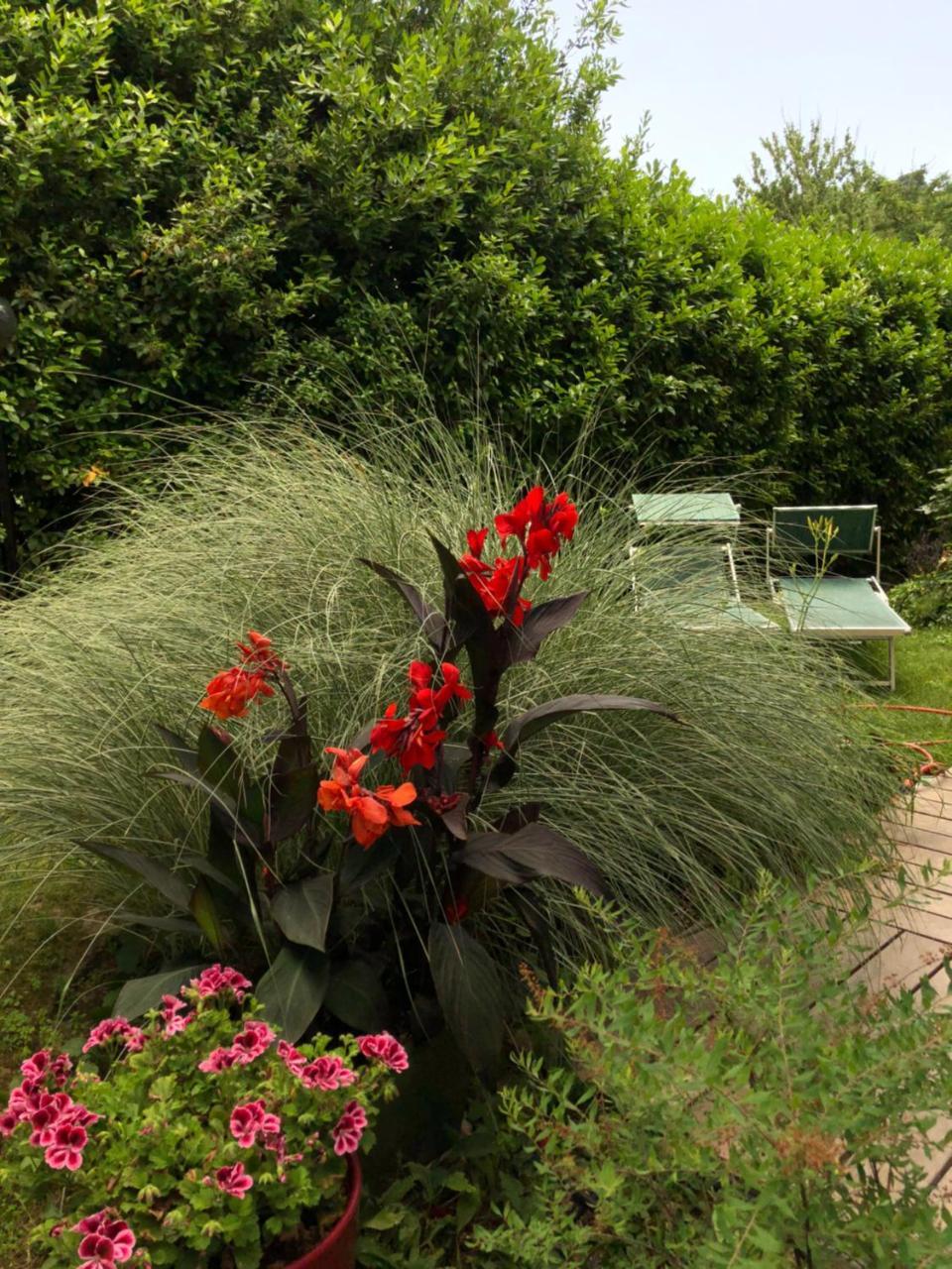 Casa Lo Bed & Breakfast Cesena Luaran gambar